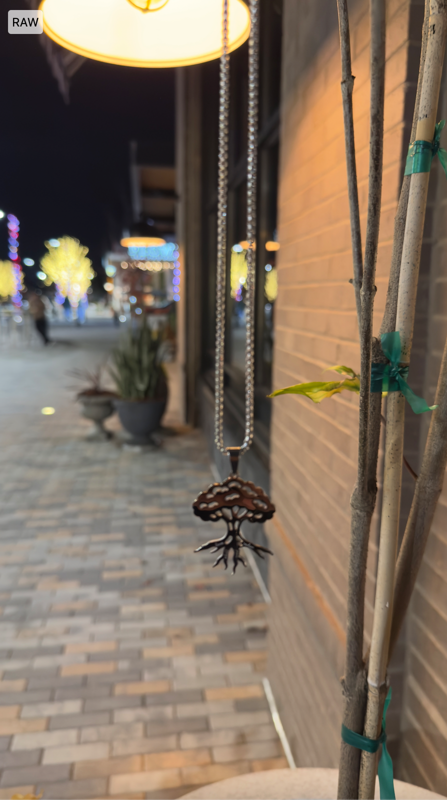 Roots of Ikigai Chain
