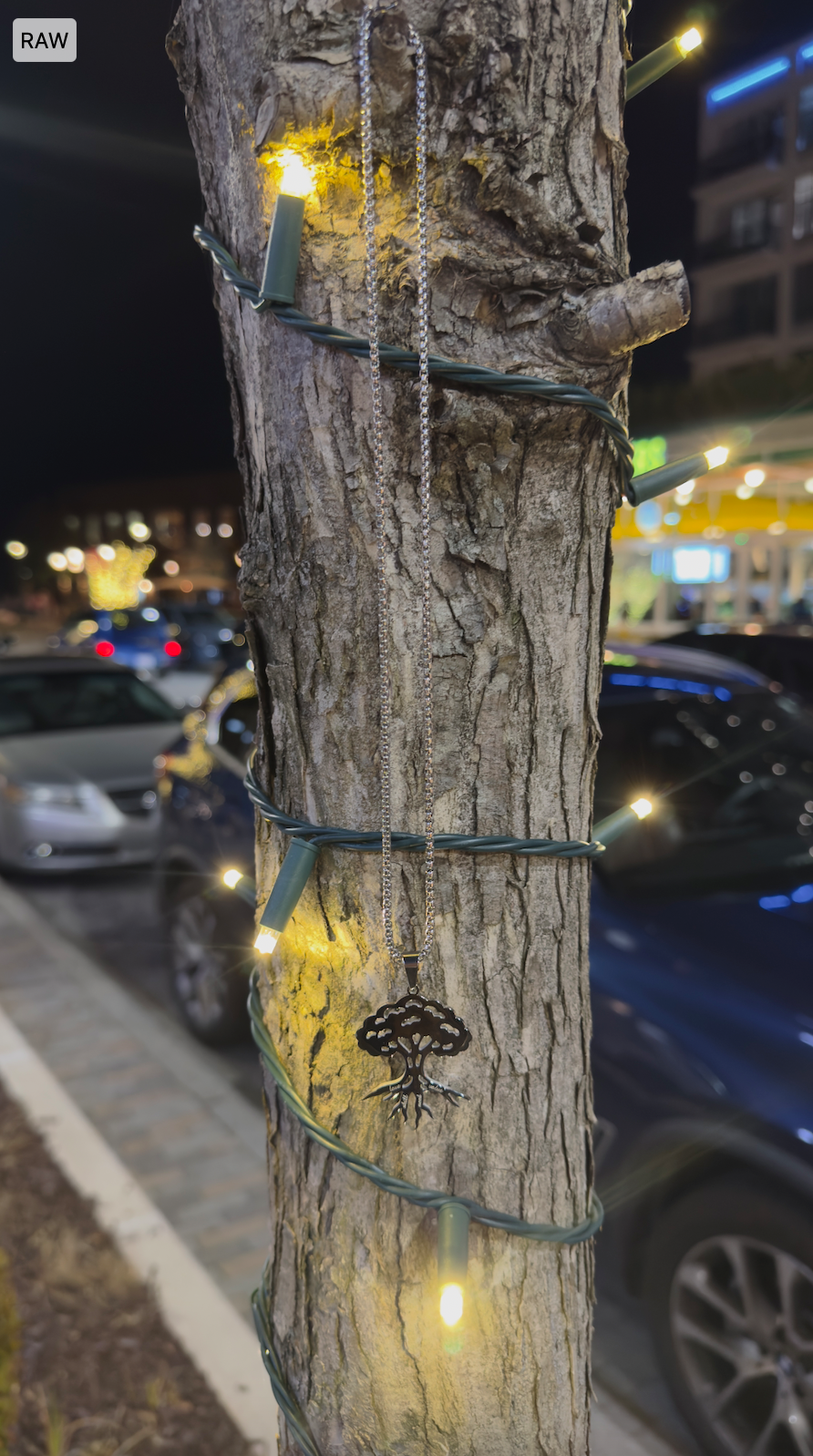 Roots of Ikigai Chain